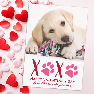 Cartes Pour Fêtes Annuelles Valentines Jour XOXO mignonne Chien de Chien de Ch