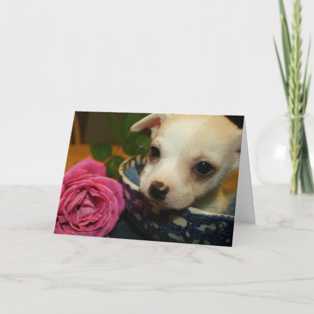 Cartes Pour Fêtes Annuelles Valentines Love Card Baby Chihuahua Rose chiot (Devant)