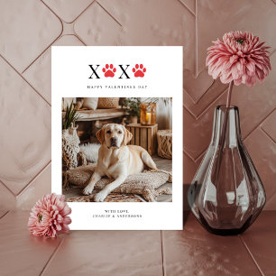 Cartes Pour Fêtes Annuelles Valentines photo Xoxo Pawprint Retriever Funny Chi