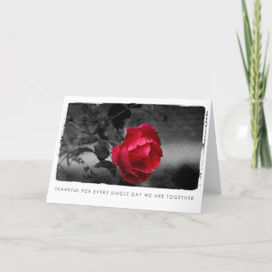 Cartes Pour Fêtes Annuelles valentines photographie rose