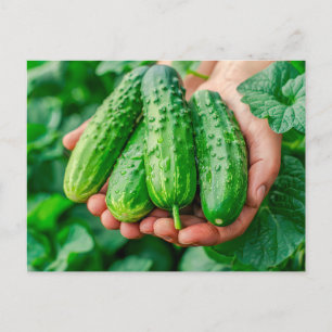 Cartes Pour Fêtes Annuelles Variété de concombre frais du jardin