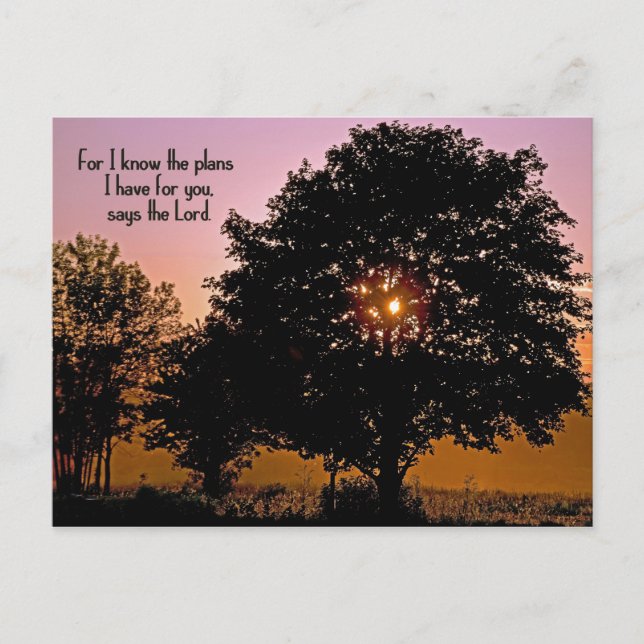 Cartes Pour Fêtes Annuelles Verbe de la écriture avec l'arbre du coucher du so (Devant)