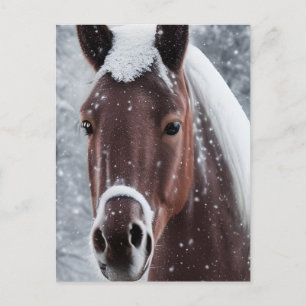 Cartes Pour Fêtes Annuelles Verre brillant lisse Chercher un cheval