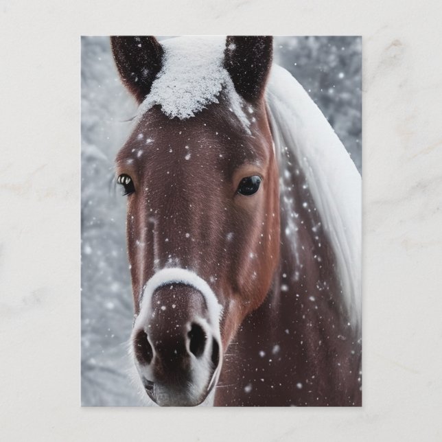 Cartes Pour Fêtes Annuelles Verre brillant lisse Chercher un cheval (Devant)