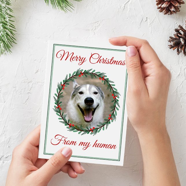 Cartes Pour Fêtes Annuelles Verrerie photo pour animaux de Noël (Créateur téléchargé)