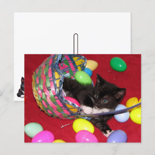 Cartes Pour Fêtes Annuelles Versace's Pâques Chat /Kitten