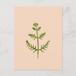 Cartes Pour Fêtes Annuelles vert de printemps