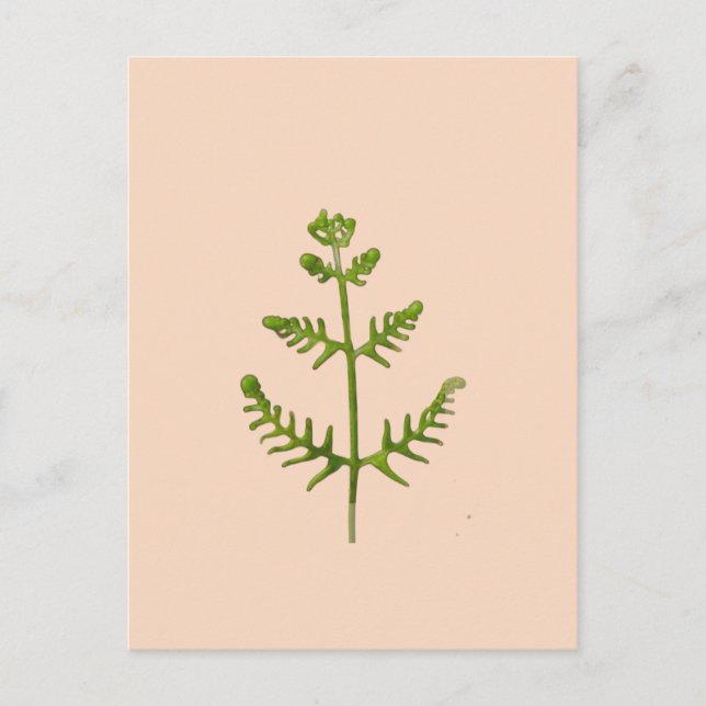 Cartes Pour Fêtes Annuelles vert de printemps  (Devant)