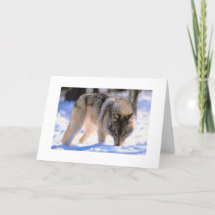 Cartes Pour Fêtes Annuelles Vêtements de Noël de loup d'hiver