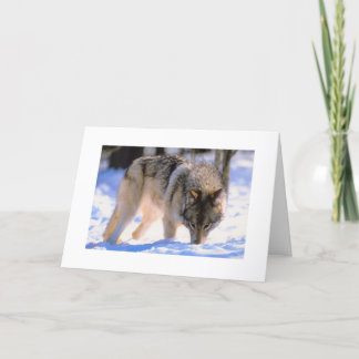 Cartes Pour Fêtes Annuelles Vêtements de Noël de loup d'hiver