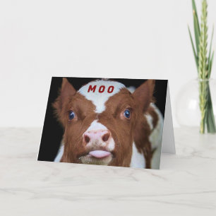 CARTES POUR FÊTES ANNUELLES VEUT ÊTRE LE 1ER À DIRE "JOYEUX NOËL"