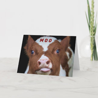 CARTES POUR FÊTES ANNUELLES VEUT ÊTRE LE 1ER À DIRE "JOYEUX NOËL"