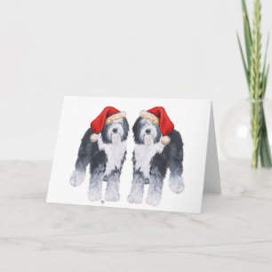 Cartes Pour Fêtes Annuelles Vieux anglais Sheepdog Santa Hat