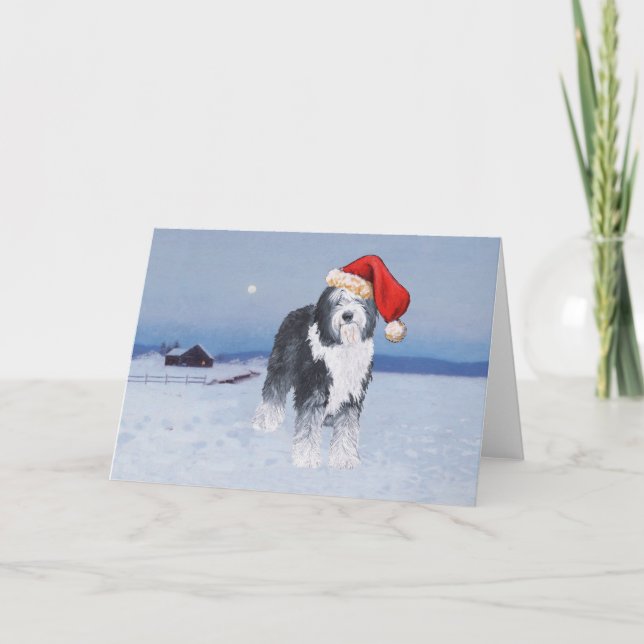 Cartes Pour Fêtes Annuelles Vieux anglais Sheepdog Santa Hat (Devant)