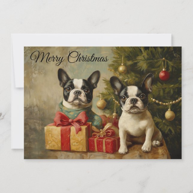 Cartes Pour Fêtes Annuelles Vieux chiens Boston Terrier Joyeux Noël (Devant)