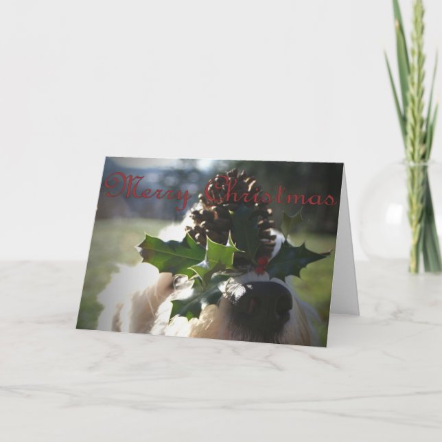 Cartes Pour Fêtes Annuelles Vieux Noël de Sheepdog (Devant)