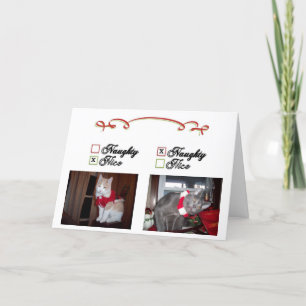 Cartes Pour Fêtes Annuelles Vilain et Nice