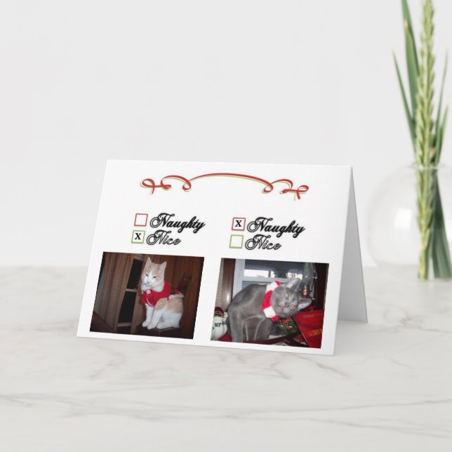 Cartes Pour Fêtes Annuelles Vilain et Nice (Devant)