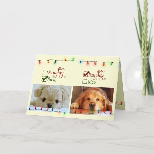 Cartes Pour Fêtes Annuelles Vilain ou Nice (Devant)