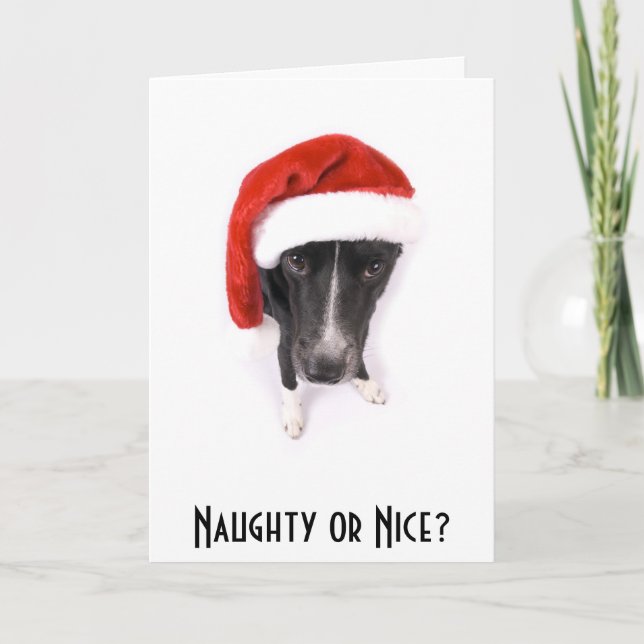 Cartes Pour Fêtes Annuelles Vilain ou Nice ? (Devant)