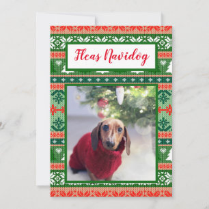 Cartes Pour Fêtes Annuelles Vilain Sweat de Noël Fleas Navidog Pet Photo