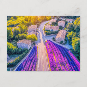 Cartes Pour Fêtes Annuelles Village aux champs de lavande et routes sinueuses