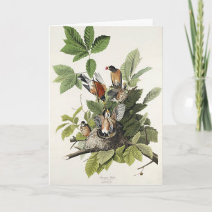 Cartes Pour Fêtes Annuelles Vintage Audubon Merle d'Amérique Art de Nid d'Oise