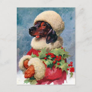 Cartes Pour Fêtes Annuelles Vintage Christmas Holly Dachshund Postcard