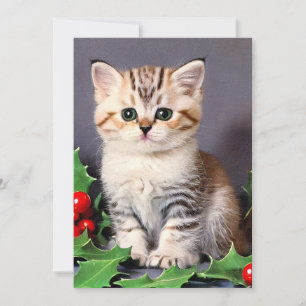 Cartes Pour Fêtes Annuelles Vintage Christmas Kitten et Holly