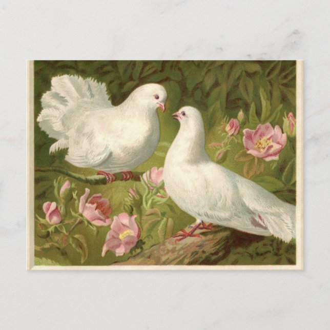 Cartes Pour Fêtes Annuelles Vintage Easter White Doves (Devant)