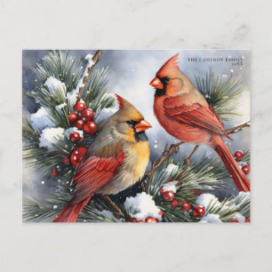 Cartes Pour Fêtes Annuelles Vintage hiver Cardinal Birds Neige Noël