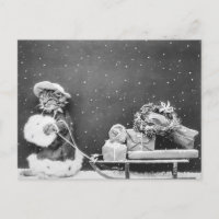 Vintage hiver Noël Père Noël Cat avec Sleigh