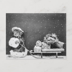 Cartes Pour Fêtes Annuelles Vintage Noël Chat Photographie Noire Et Blanche