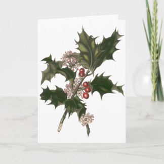 Cartes Pour Fêtes Annuelles Vintage Noël, Green Holly Plante avec baies