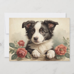 Cartes Pour Fêtes Annuelles Vintage Portrait Chiot Chien Rose Collie Bordure