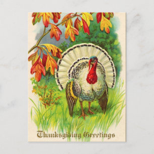 Cartes Pour Fêtes Annuelles Vintage Thanksgiving Turquie