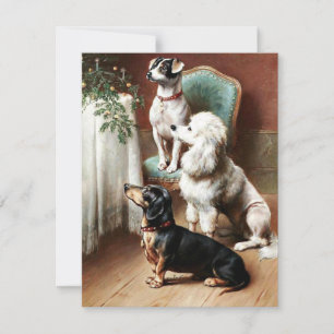 Cartes Pour Fêtes Annuelles Vintage - Une retraite de Noël