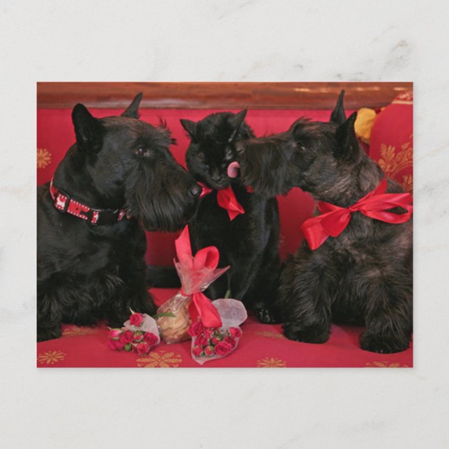 Cartes Pour Fêtes Annuelles Vintage : Valentine's day - (Devant)