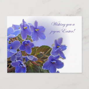 Cartes Pour Fêtes Annuelles Violettes africaines Bleues de Pâques