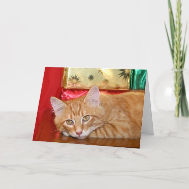 Cartes Pour Fêtes Annuelles Vite Noël (Devant)