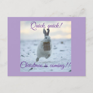 Cartes Pour Fêtes Annuelles Vite, vite Noël arrive !