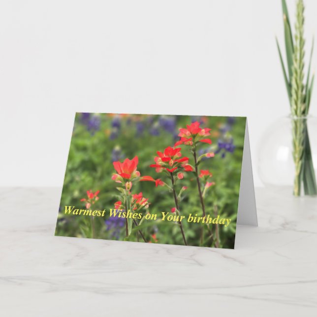 Cartes Pour Fêtes Annuelles Vivid pinceau indien (Devant)