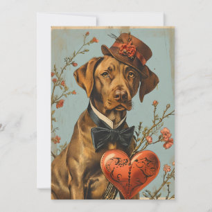 Cartes Pour Fêtes Annuelles Vizsla Saint Valentin Vintage