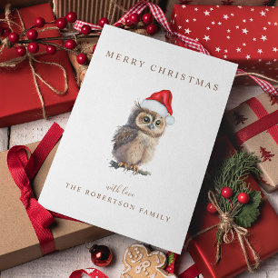 Cartes Pour Fêtes Annuelles Vœu de Noël de hibou