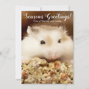 Cartes Pour Fêtes Annuelles Vœux de la saison Hamster