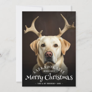 Cartes Pour Fêtes Annuelles Voeux de Labradorable Joyeux Texte de Noël Chien