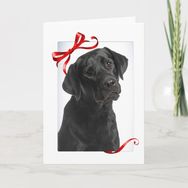 Cartes Pour Fêtes Annuelles Vœux de Noël chaleureux et tout doux de Black Lab (Devant)