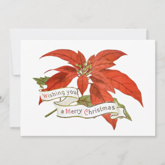 Cartes Pour Fêtes Annuelles Vœux de Noël Fleur de Poinsettia Rouge Vintage