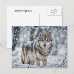 Cartes Pour Fêtes Annuelles Vœux de Noël Loup dans la neige