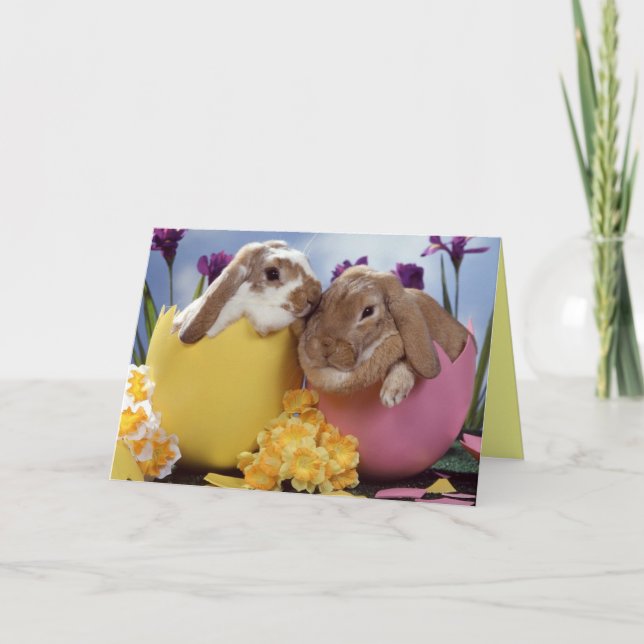 Cartes Pour Fêtes Annuelles Voeux de Pâques (Devant)